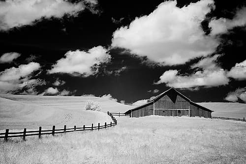 USA-Palouse Country-Washington State-Infrared Palouse fields and barn Art Print